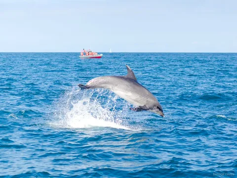 Bióloga marinha a guiar os passageiros no passeio às Grutas de Benagil com golfinhos